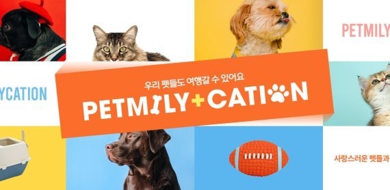 티몬이 사회적 거리두기가 해제되고 나들이 수요가 늘어나는 5월부터 반려동물과 함께 떠나는 동반 여행 상품 프로모션을 선보인다고 밝혔다. 사진 | 티몬