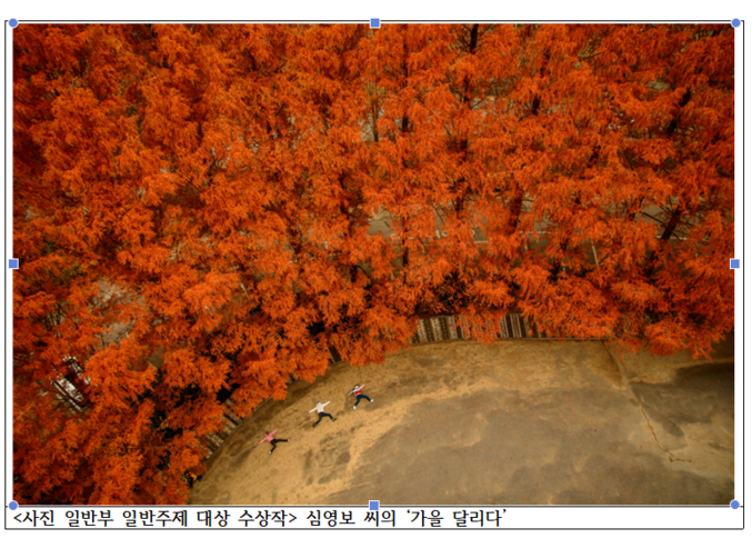 사진 ㅣ 산림조합 중앙회