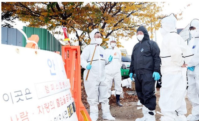 요즘 국내 농축산단지는 럼피스킨병에 대한 비상이 걸렸다. 하지만 럼피스킨병을 퇴치한다고 하더라도 또다른 동물 병원균이 끊임없이 침투할 것이다. 그래서 동물 전염병에 대한 근본적 대처가 절실하다. 사진 ㅣ 파주시