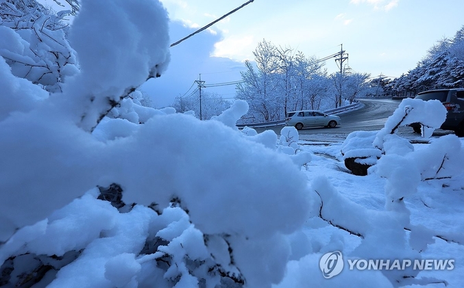 춘분(3월 20일)에 때아닌 폭설이 내렸다. 자그마치 26.2cm가 내렸다. 대관령은 다시 겨울로 후퇴한 것 같다. 20일 강원 강릉시 성산면 대관령 일원에 20㎝가 넘는 많은 눈이 내린 가운데 차들이 조심스럽게 운행하고 있다. 사진 ㅣ 연합뉴스