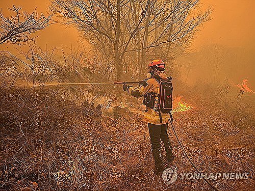 22일 화재가 발생한 경북 의성군 안평면 괴산리 야산에서 경북소방본부 대원이 진화 작업을 펼치고 있다. 사진ㅣ연합뉴스(경북소방본부)