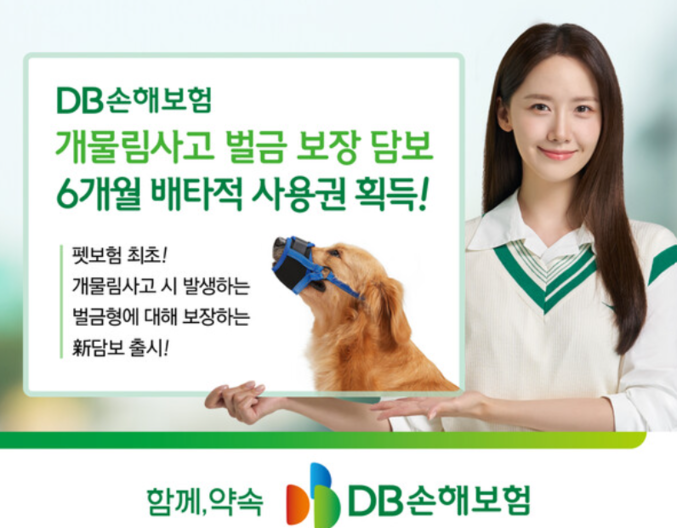 DB손해보험(대표 정종표)이 지난 4월 출시한 ‘개물림사고 벌금 보장’에 대해 6개월의 배타적 사용권을 획득했다. 사진 | DB손해보험