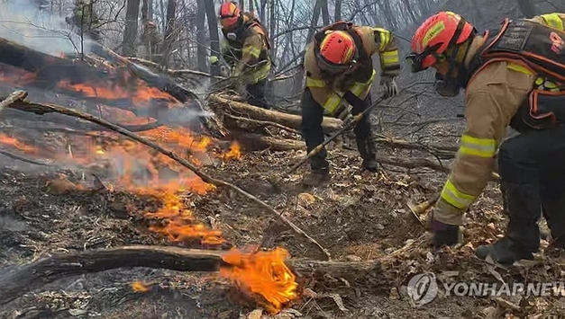 경주 산불 송전탑에 가로막혀 공중 진화 어려워