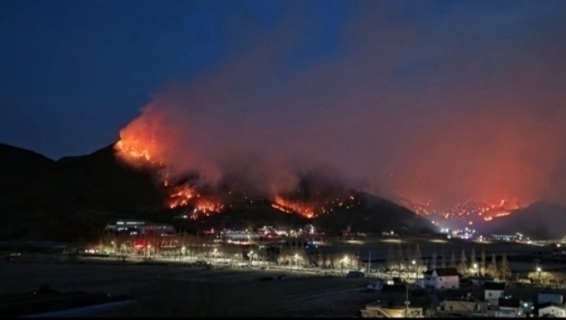 2월 한달동안 대형 산불 20여건...밀양에선 산불 확산 대비 국가소방동원령