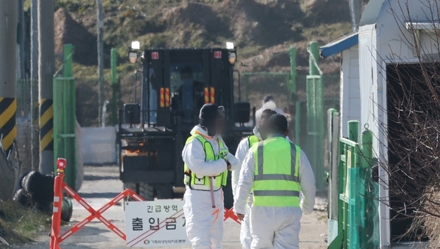 논산 오리농장서 AI 확진…지난해 9월 이후 62번째