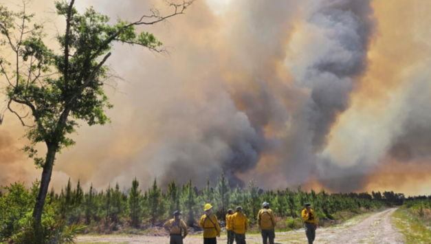 [초점] 美조지아 "불길이 안잡힌다".. 비상사태 선포에도 초대형 산불 확산 지속