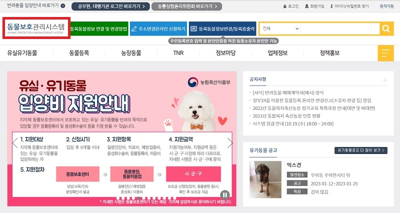 정부가 반려견 보호 등 알아두면 도움되는 설 연휴 이용 가능한 생활서비스를 공개했다. 
